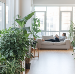 Comment la qualité de l'air intérieur impacte-t-elle le bien-être dans un nouvel appartement ?